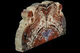 Tall, Arizona Petrified Wood Bookends - Red & Purple #86199-1